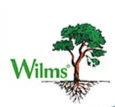 Wilms 